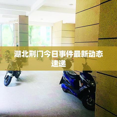 湖北荊門今日事件最新動態(tài)速遞