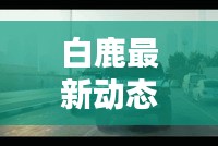 白鹿最新動(dòng)態(tài)消息曝光，不容錯(cuò)過！
