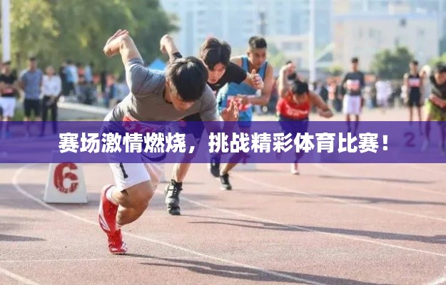 賽場激情燃燒，挑戰(zhàn)精彩體育比賽！