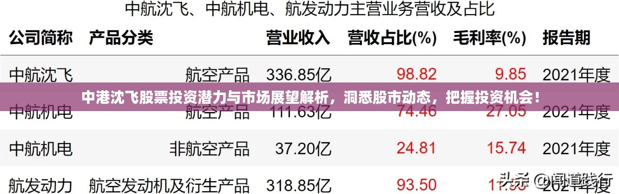 中港沈飛股票投資潛力與市場(chǎng)展望解析，洞悉股市動(dòng)態(tài)，把握投資機(jī)會(huì)！