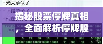 揭秘股票停牌真相，全面解析停牌股票影響及查詢攻略