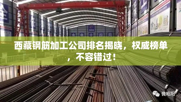 西藏鋼筋加工公司排名揭曉，權(quán)威榜單，不容錯過！