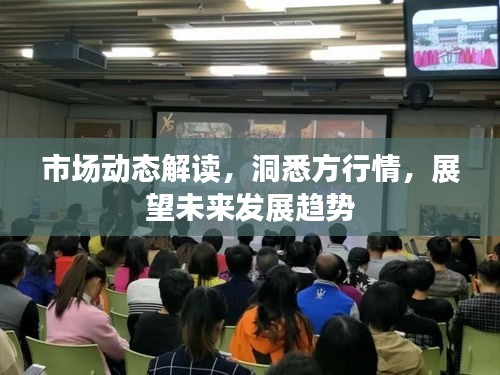 市場(chǎng)動(dòng)態(tài)解讀，洞悉方行情，展望未來發(fā)展趨勢(shì)