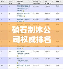 硝石制冰公司權(quán)威排名榜單揭曉