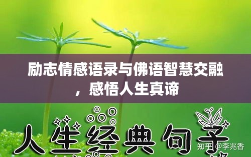 長安米貴