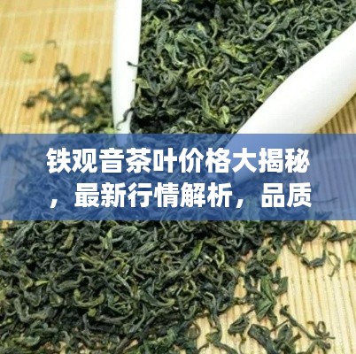 鐵觀音茶葉價(jià)格大揭秘，最新行情解析，品質(zhì)與價(jià)格雙重保障！