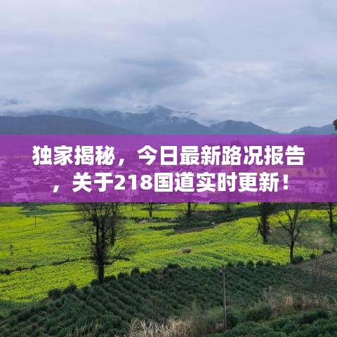 獨家揭秘，今日最新路況報告，關于218國道實時更新！