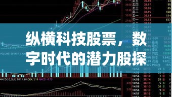 縱橫科技股票，數(shù)字時(shí)代的潛力股探索