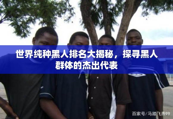 世界純種黑人排名大揭秘，探尋黑人群體的杰出代表
