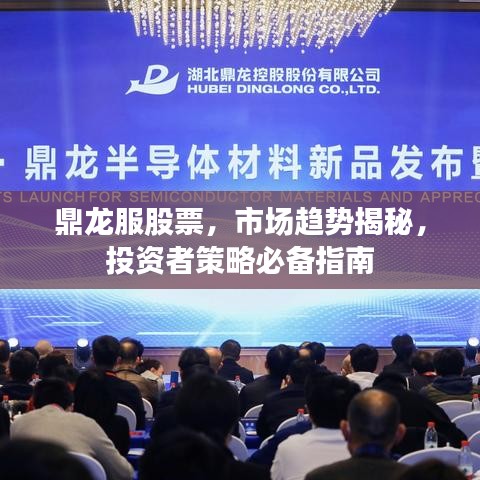 鼎龍服股票，市場趨勢揭秘，投資者策略必備指南