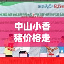 中山小香豬價格走勢大揭秘，最新行情分析！