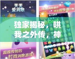 獨家揭秘，哄我之外傳，神秘番外分享在百度網(wǎng)盤