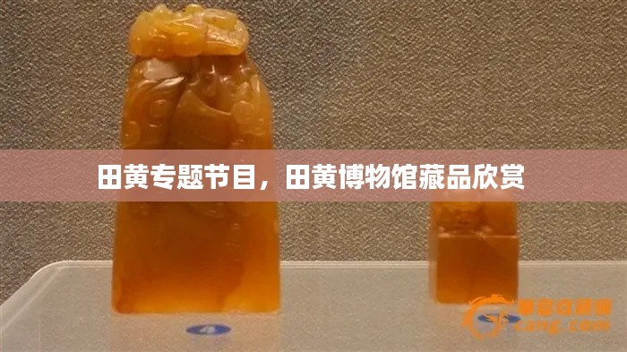 田黃專題節(jié)目，田黃博物館藏品欣賞 
