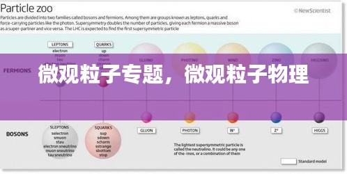 微觀粒子專題，微觀粒子物理 
