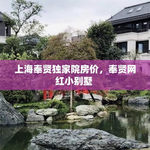 上海奉賢獨(dú)家院房?jī)r(jià)，奉賢網(wǎng)紅小別墅 