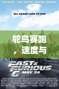 鴕鳥賽跑，速度與優(yōu)雅的激情競(jìng)技之旅