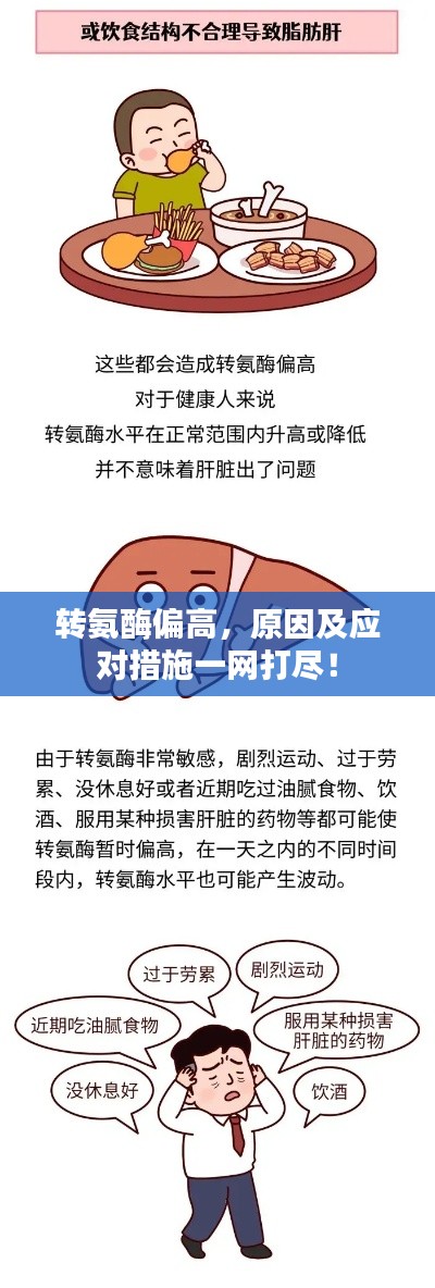 轉(zhuǎn)氨酶偏高，原因及應(yīng)對(duì)措施一網(wǎng)打盡！