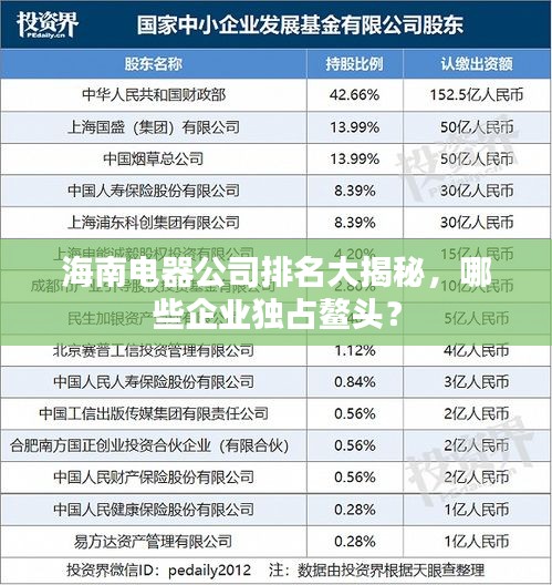 海南電器公司排名大揭秘，哪些企業(yè)獨占鰲頭？