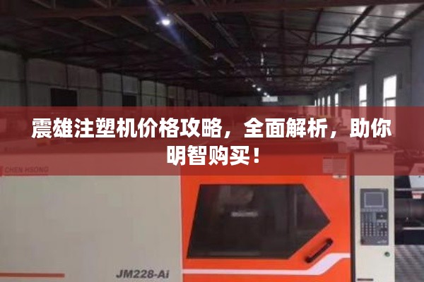 震雄注塑機(jī)價(jià)格攻略，全面解析，助你明智購買！