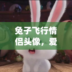 兔子飛行情侶頭像，愛(ài)情與夢(mèng)想交織的完美象征