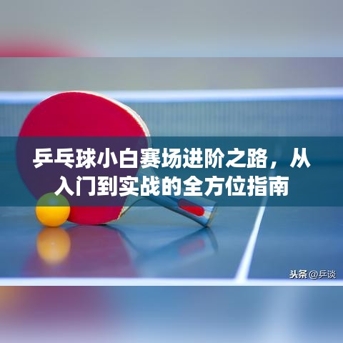 乒乓球小白賽場(chǎng)進(jìn)階之路，從入門(mén)到實(shí)戰(zhàn)的全方位指南