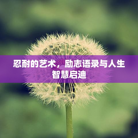 忍耐的藝術(shù)，勵志語錄與人生智慧啟迪