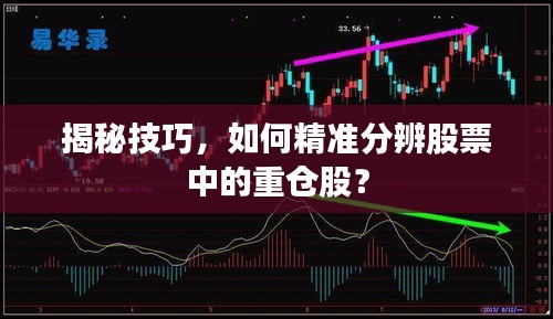 揭秘技巧，如何精準分辨股票中的重倉股？