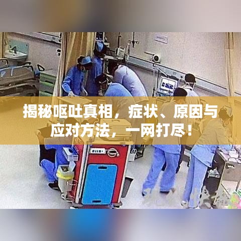揭秘嘔吐真相，癥狀、原因與應(yīng)對方法，一網(wǎng)打盡！