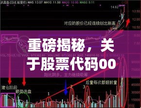 重磅揭秘，關(guān)于股票代碼002294的全面深度解讀與分析