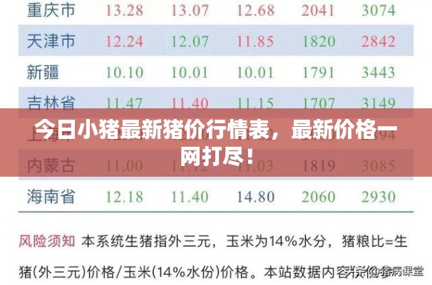 今日小豬最新豬價行情表，最新價格一網(wǎng)打盡！