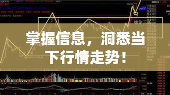 掌握信息，洞悉當下行情走勢！