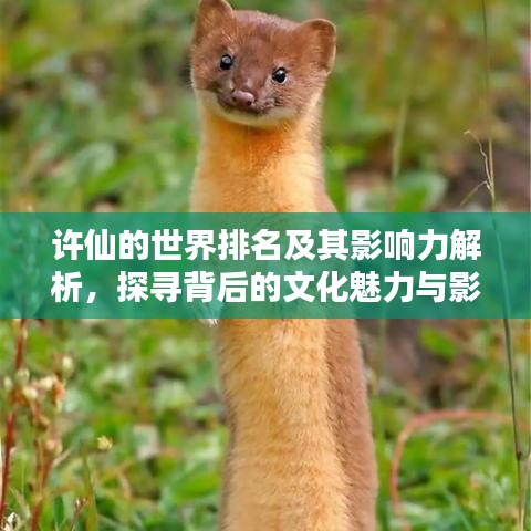 許仙的世界排名及其影響力解析，探尋背后的文化魅力與影響