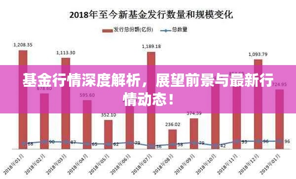 基金行情深度解析，展望前景與最新行情動態(tài)！