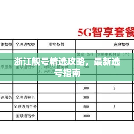 浙江靚號(hào)精選攻略，最新選號(hào)指南