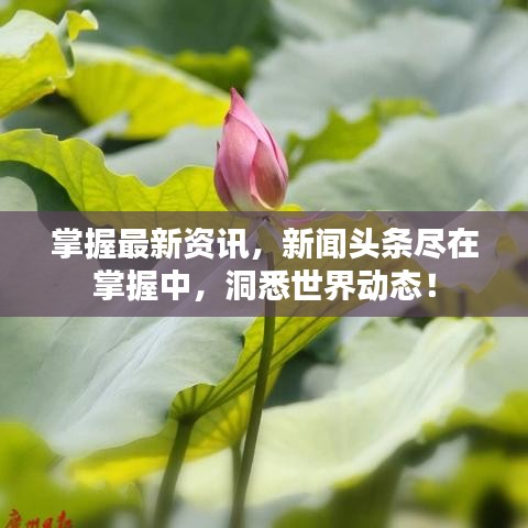 掌握最新資訊，新聞?lì)^條盡在掌握中，洞悉世界動(dòng)態(tài)！