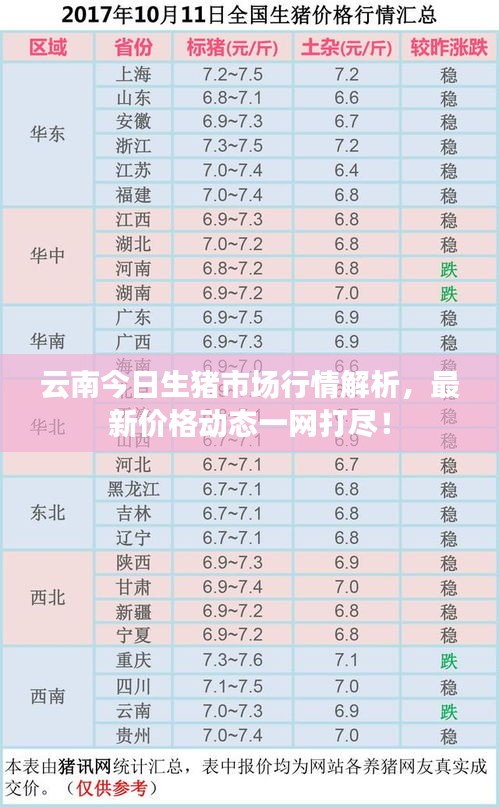 云南今日生豬市場行情解析，最新價格動態(tài)一網(wǎng)打盡！