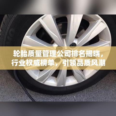 輪胎質(zhì)量管理公司排名揭曉，行業(yè)權(quán)威榜單，引領(lǐng)品質(zhì)風(fēng)潮！