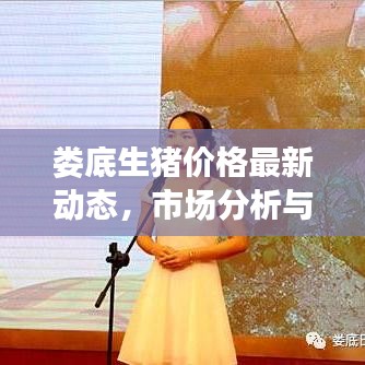 婁底生豬價(jià)格最新動(dòng)態(tài)，市場(chǎng)分析與趨勢(shì)預(yù)測(cè)