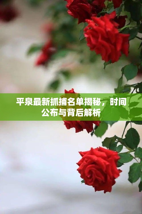 平泉最新抓捕名單揭秘，時(shí)間公布與背后解析