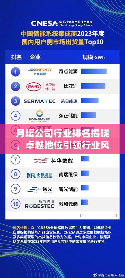 月壇公司行業(yè)排名揭曉，卓越地位引領(lǐng)行業(yè)風(fēng)向標(biāo)