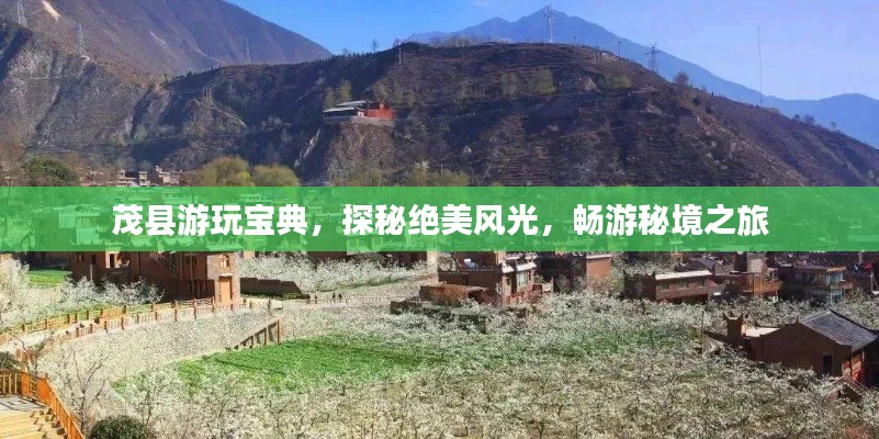 招標(biāo)采購(gòu) 第10頁(yè)