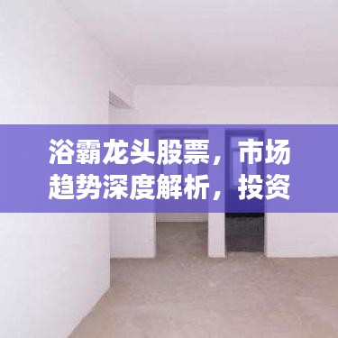 浴霸龍頭股票，市場(chǎng)趨勢(shì)深度解析，投資洞察必備指南