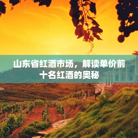 山東省紅酒市場，解讀單價前十名紅酒的奧秘