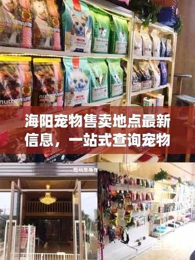 海陽寵物售賣地點(diǎn)最新信息，一站式查詢寵物愛好者福音