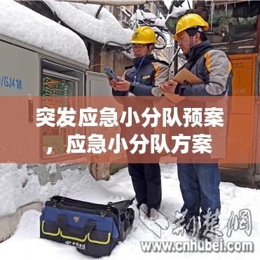 突發(fā)應(yīng)急小分隊(duì)預(yù)案，應(yīng)急小分隊(duì)方案 