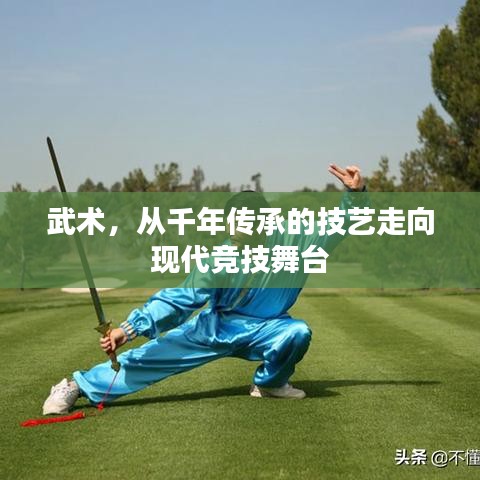 武術，從千年傳承的技藝走向現(xiàn)代競技舞臺