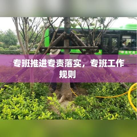專班推進(jìn)專責(zé)落實(shí)，專班工作規(guī)則 