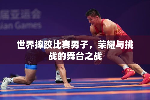 世界摔跤比賽男子，榮耀與挑戰(zhàn)的舞臺之戰(zhàn)