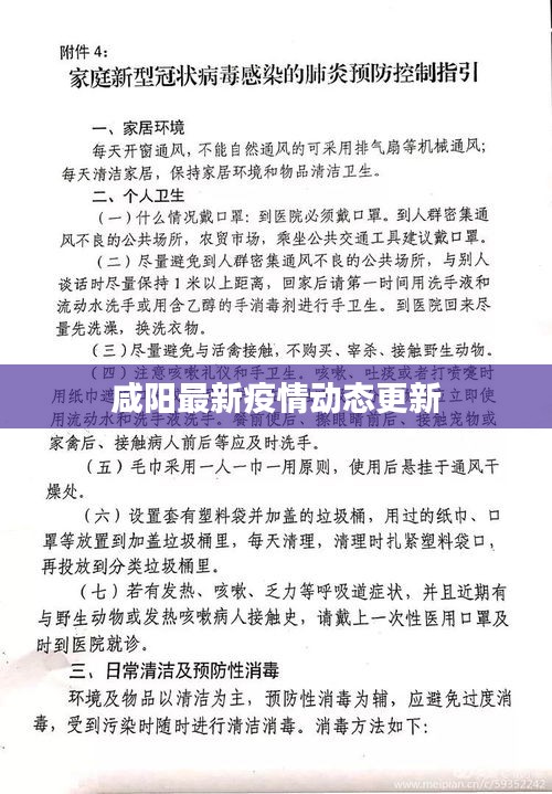 puzhanglangfei