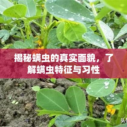 小鳥依人